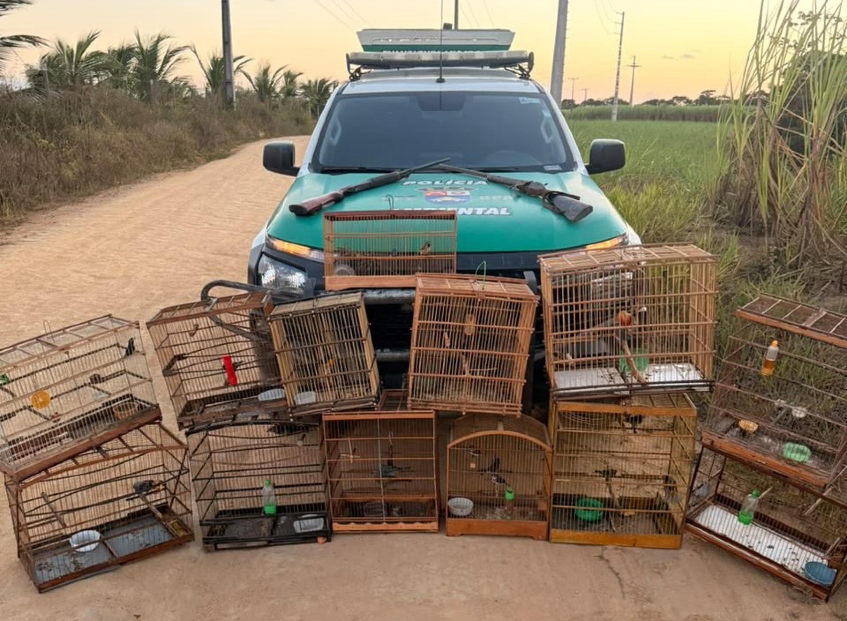 Polícia apreende duas armas de fogo e resgata 59 animais silvestres em ações de fiscalização