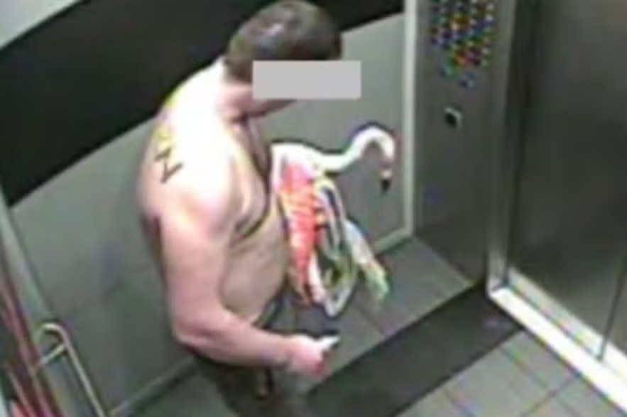 Turista pode pegar até 4 anos de prisão após beber 40 cervejas e sequestrar flamingo de hotel nos EUA