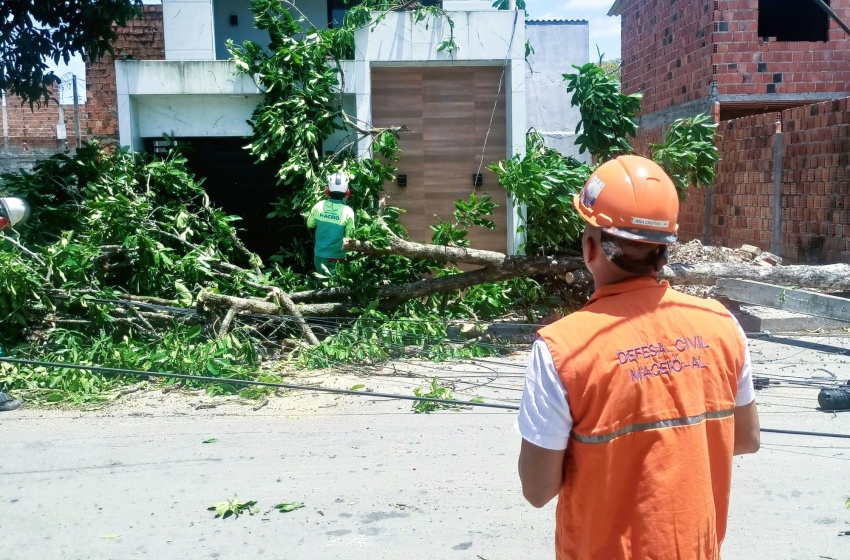 Ventos fortes provocam danos em estrutura esportiva e queda de árvores em Maceió