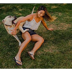 Cachorro fez a festa durante ensaio