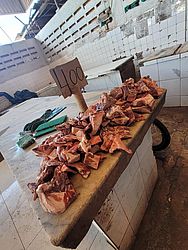 Vigilância Sanitária