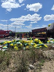 Divulgação / Corpo de Bombeiros