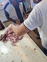 Vigilância Sanitária