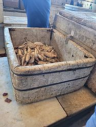 Vigilância Sanitária