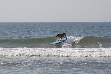 Juca de Barros / Arquivo pessoal