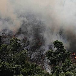 Imagens mostram nuvem de fumaça em cidades do Sudeste 