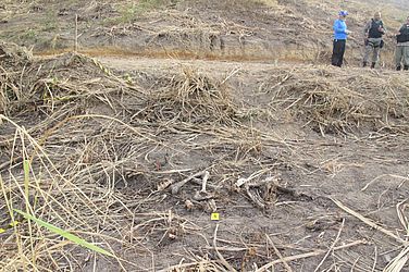 Ascom Polícia Científica