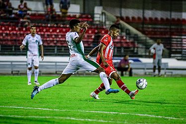 Pei Fon / Portal TNH1