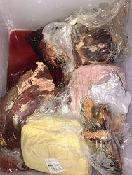 Vigilância Sanitária