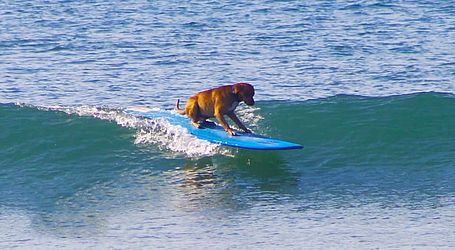 Juca de Barros / Arquivo pessoal