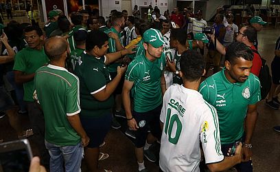 Divulgação / Twitter @Palmeiras