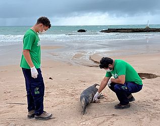 Divulgação / Biota