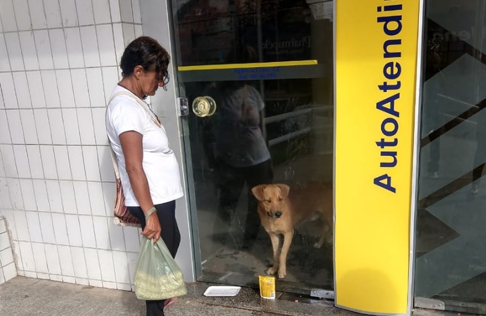 Cachorro passou a noite na agência bancária