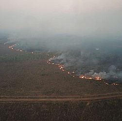 Imagens mostram nuvem de fumaça em cidades do Sudeste 