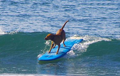 Juca de Barros / Arquivo pessoal