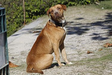 Juca de Barros / Arquivo pessoal