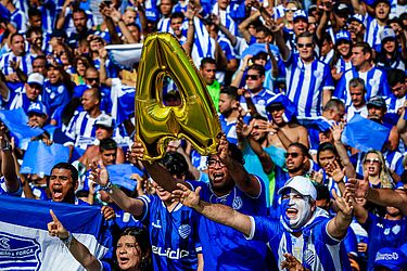 Pei Fon / Portal TNH1