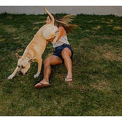 Cachorro fez a festa durante ensaio