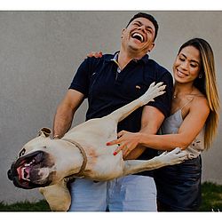 Cachorro fez a festa durante ensaio