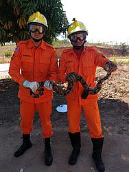 Divulgação / CBM AL