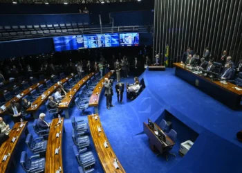 Vidente Lu Bernardi revela quem será o presidente do Brasil em 2026