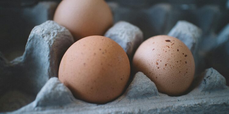 Nutricionista revela quantidade ideal de ovos para comer durante o dia