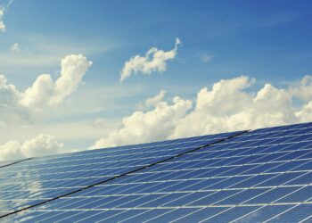 Estudo de Harvard revela que instalar muitos painéis solares pode ser um erro