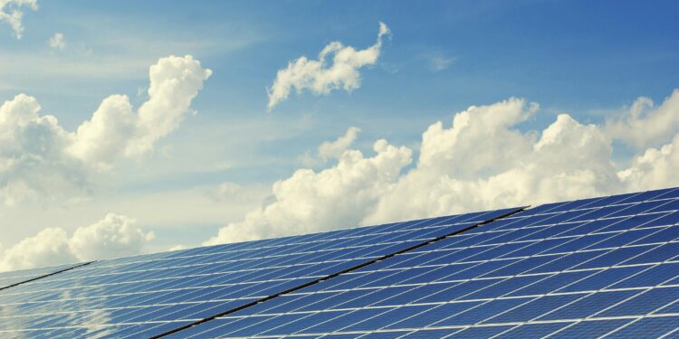 Estudo de Harvard revela que instalar muitos painéis solares pode ser um erro
