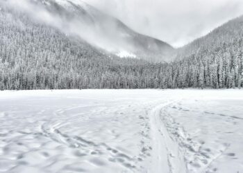 Neve histórica cobriu o Sul do Brasil de branco
