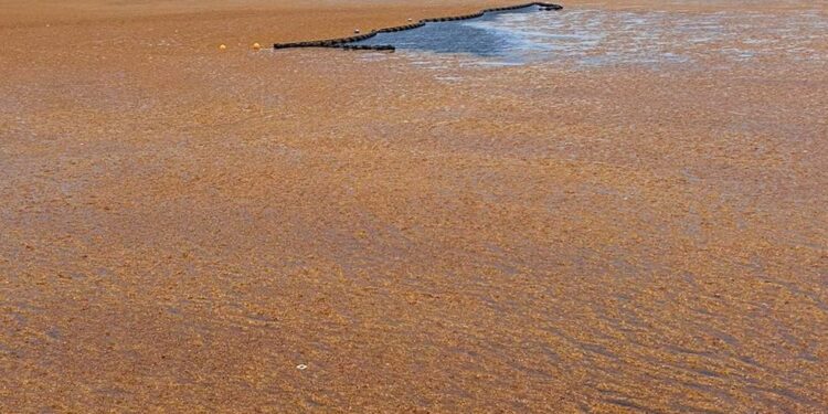 Mancha marrom de 9 mil km e 37,5 milhões de toneladas no oceano deixa o mundo em alerta