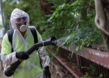 Alerta por uma nova pandemia: outro vírus se espalha na China e estes são os países que poderiam estar em risco