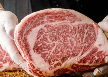 Qual é o segredo por trás do corte de carne que pode chegar a mais de R$ 1.000,00?
