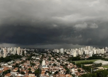 Teto caindo e janelas explodindo: tempestade em São Paulo foi tão brutal que moradores juraram ser tsunami