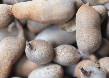 A fruta mais eficiente que a banana para evitar cãibras