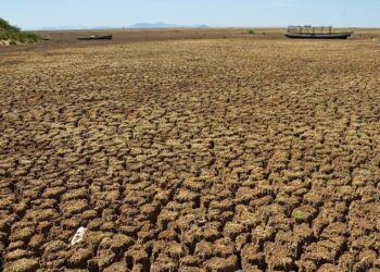 Climatologista revela que a Amazônia será destruída logo e crava o fim da humanidade em 75 anos