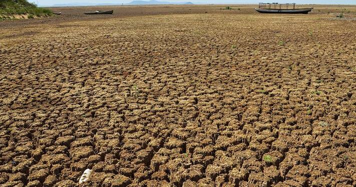 Climatologista revela que a Amazônia será destruída logo e crava o fim da humanidade em 75 anos