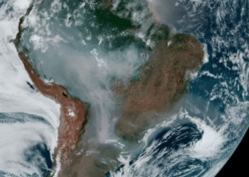 cientistas alertam