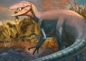 dinossauro