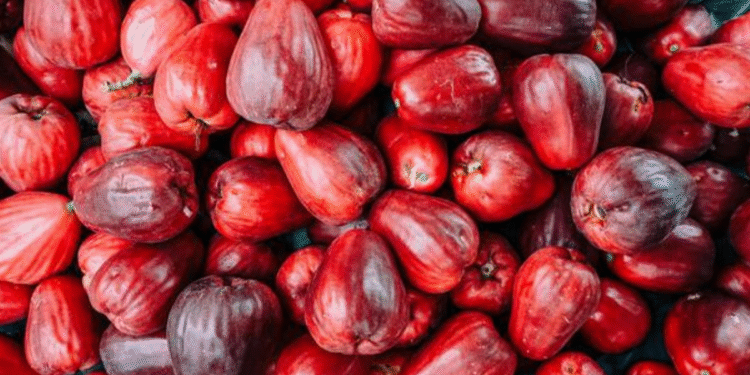 Frutas que eram comuns no passado e hoje em dia ninguém encontra mais