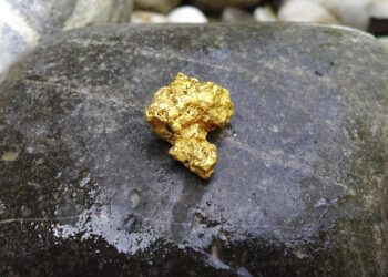 Nesse país, o ouro está surgindo direto das árvores
