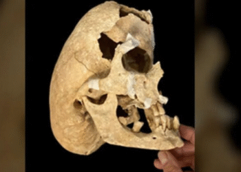 Esqueleto de guerreiro medieval surpreende cientistas e revela mutação extremamente rara