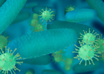 Hospital vira palco de infecções perigosas com fungo e bactéria hospitalar
