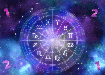 Signo