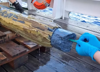 Perigo! Gosma azul com micróbios é descoberta e deixa todos preocupados
