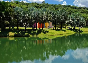 Maior museu ao ar livre da América do Sul fica no Brasil e tem 4,3 mil plantas distribuídas em 390 hectares