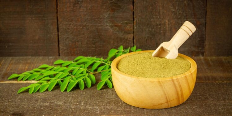 Planta muito conhecida no Brasil vai ajudar na imunidade e controlar a diabetes