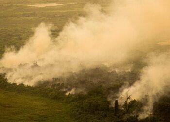 Cientistas emitem alerta: região do Brasil deve enfrentar calor extremo nos próximos anos