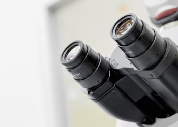 Especialistas alertam: item muito consumido no Brasil eleva risco de demência