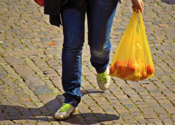 Como famílias podem receber o Bolsa Família antes do previsto, segundo regras do programa