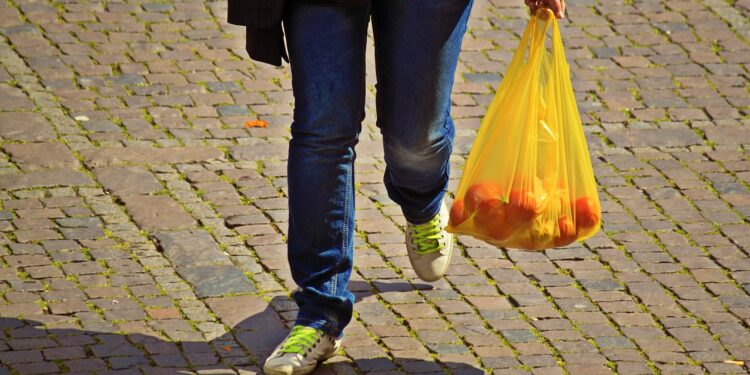Como famílias podem receber o Bolsa Família antes do previsto, segundo regras do programa
